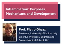 Inflammation: purposes, mechanisms and development