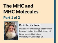 The MHC and MHC molecules 1