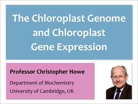 The chloroplast genome and chloroplast gene expressiox