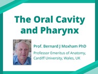 The oral cavity and pharynx