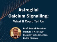 Astroglial calcium signalling: what it could tell us