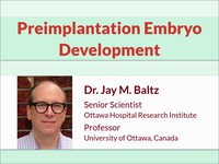 Preimplantation embryo development