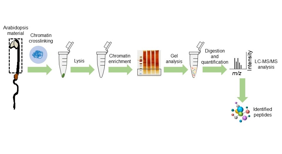 A Proteomic View on the Chromatin Landscape