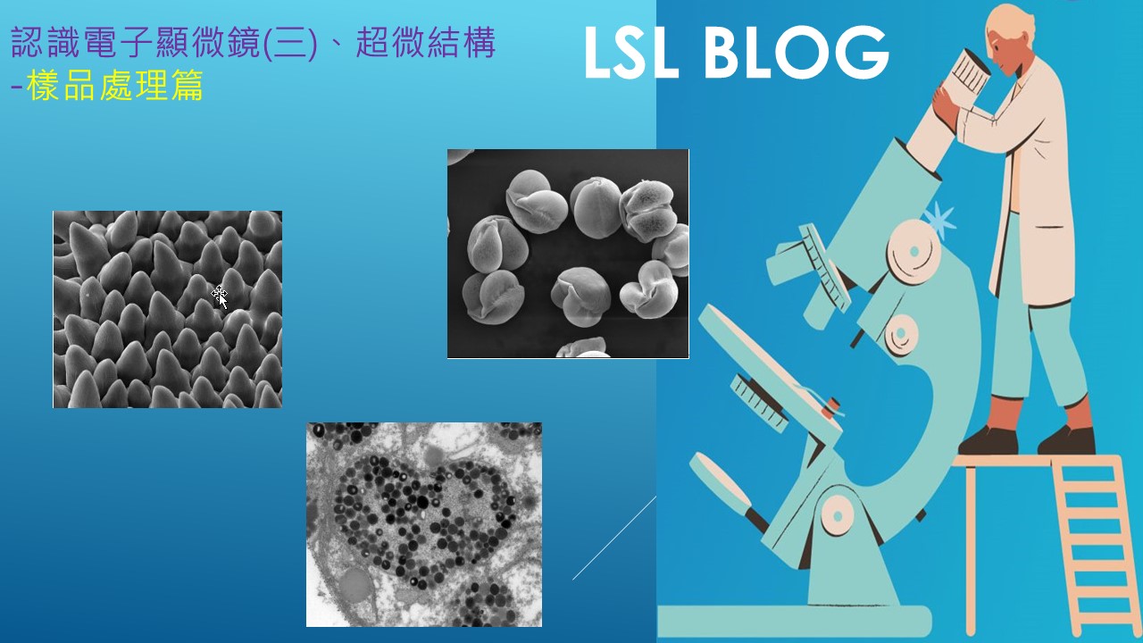 認識電子顯微鏡(三)、超微結構 樣品處理篇