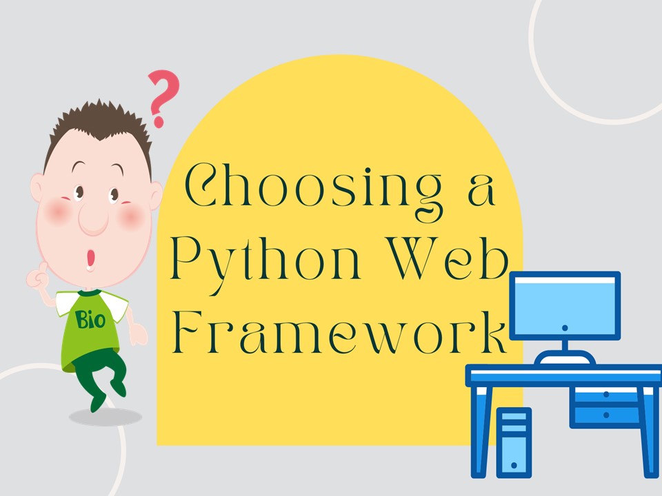 Choosing a Python Web Framework