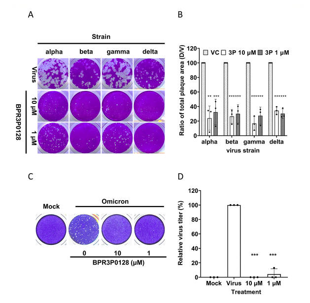 BPR3P0128, a non-nucleoside RNA-dependent RNA polymerase inhibitor, inhibits SARS-CoV-2 variants of concern and exerts synergistic antiviral activity in combination with remdesivir