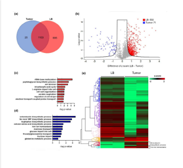 Overcoming the nutritional immunity by engineering iron-scavenging bacteria for cancer therapy