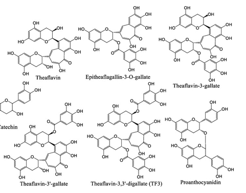 Systematic Studies on the Anti-SARS-CoV-2 Mechanisms of Tea Polyphenol-Related Natural Products