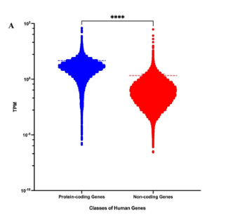 Housekeeping protein-coding genes interrogated with tissue and individual variations