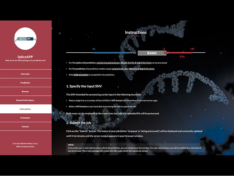 SpliceAPP: An Interactive Web Server to Predict Splicing Errors Arising from Human Mutations