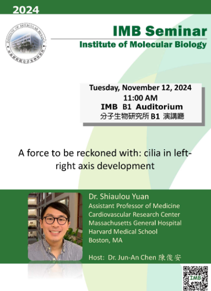 11/12 IMB Seminar