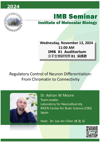 11/13 IMB Seminar