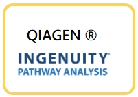 Ingenuity Pathway Analysis 2025 春季更新