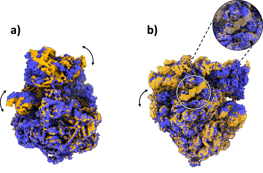 Real-space heterogeneous reconstruction, refinement, and disentanglement of CryoEM conformational states with HetSIREN