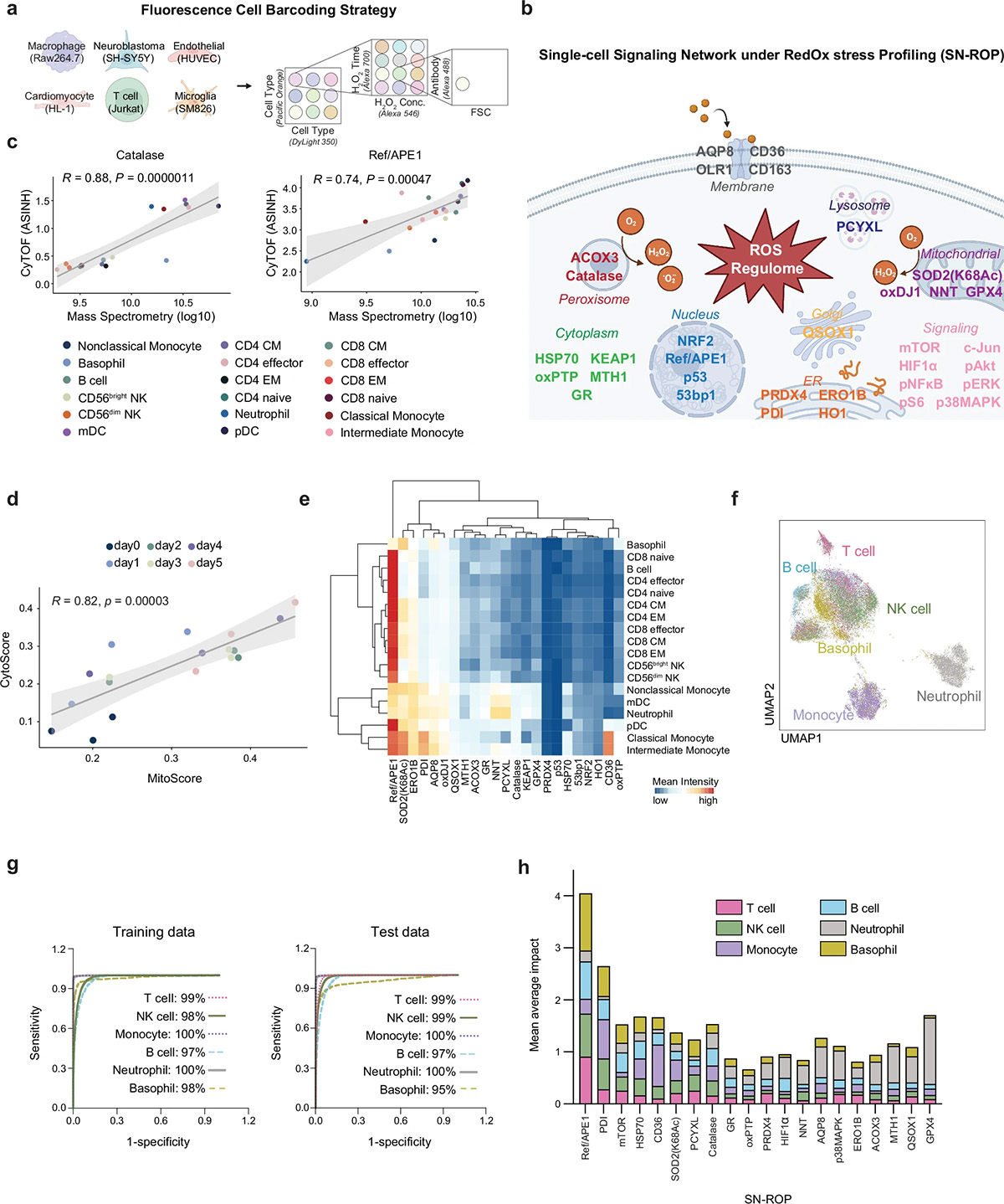Single-cell signaling network profiling during redox stress reveals dynamic redox regulation in immune cells
