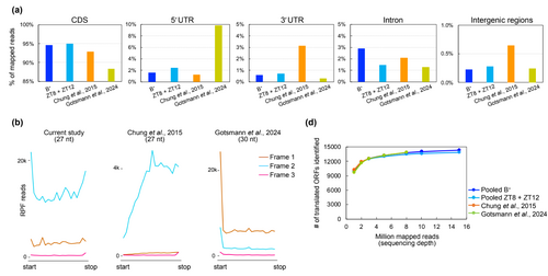 優化的核醣體分析（Ribo-seq）揭示衣藻晝夜節律下轉譯調控的新見解
