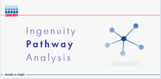 Ingenuity Pathway Analysis 2025夏季更新