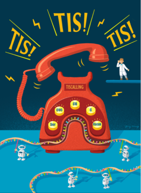 TISCalling：應用機器學習預測植物與病毒的轉譯起始位點之方法