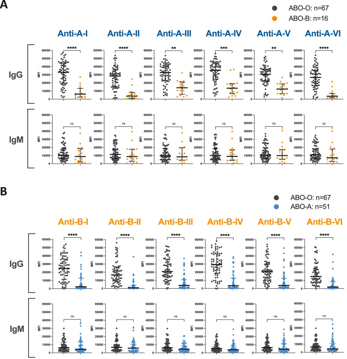 Multiplex bead immunoassay in ABO-A2-incompatible kidney transplantation
