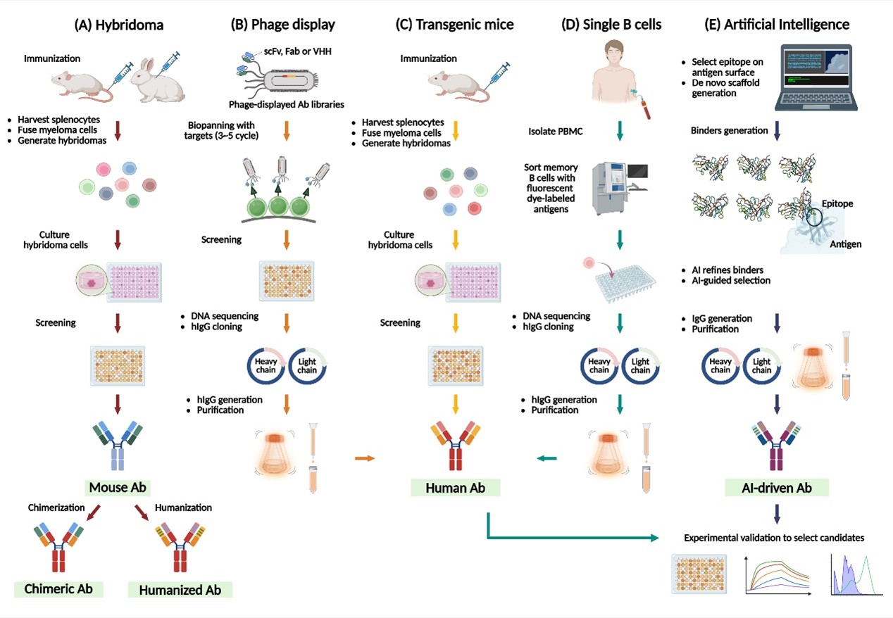 治療性抗體技術進展　引領疾病治療新趨勢