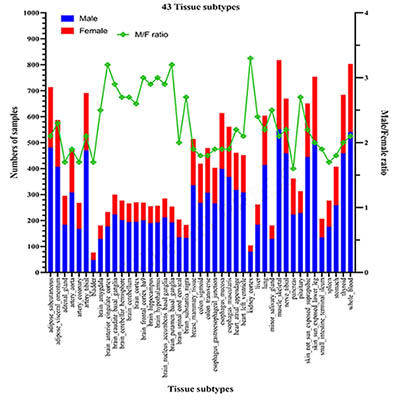 A visualization tool for individual gene expression profiles among males and females in GTEx tissues