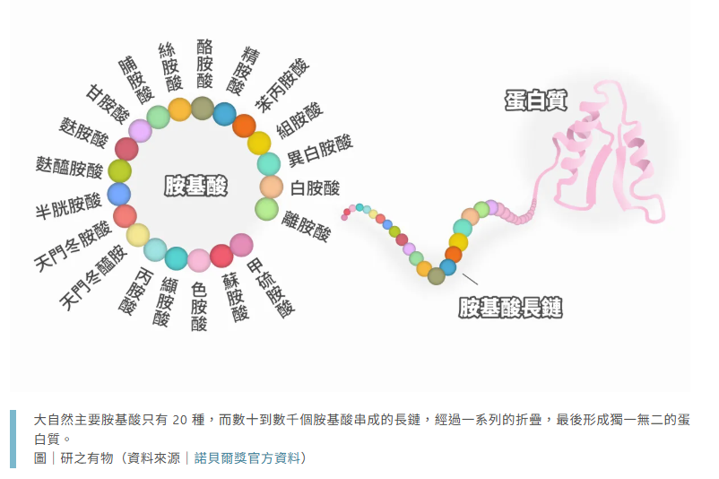 中研院研之有物文章
