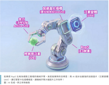 【中研院研之有物文章】蛋白質不只可以吃，科學家開始用 AI 創造更好用的蛋白質