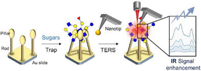 Decoding of Carbohydrates With Monosaccharide-Level Resolution Using Tip-Enhanced Raman Scattering