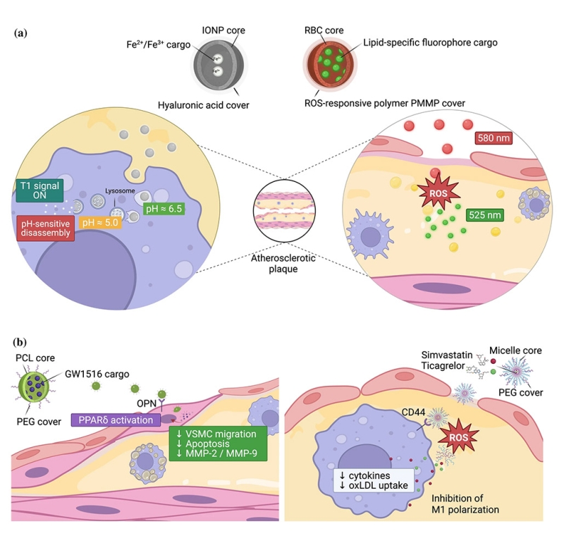 Nanomedicine-based theranostics in atherosclerotic cardiovascular diseases