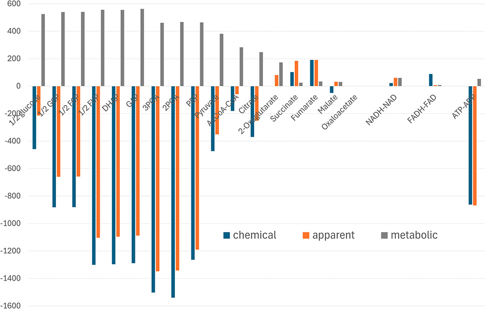 Metabolic thermodynamics: pertinent reference state and energy potentials