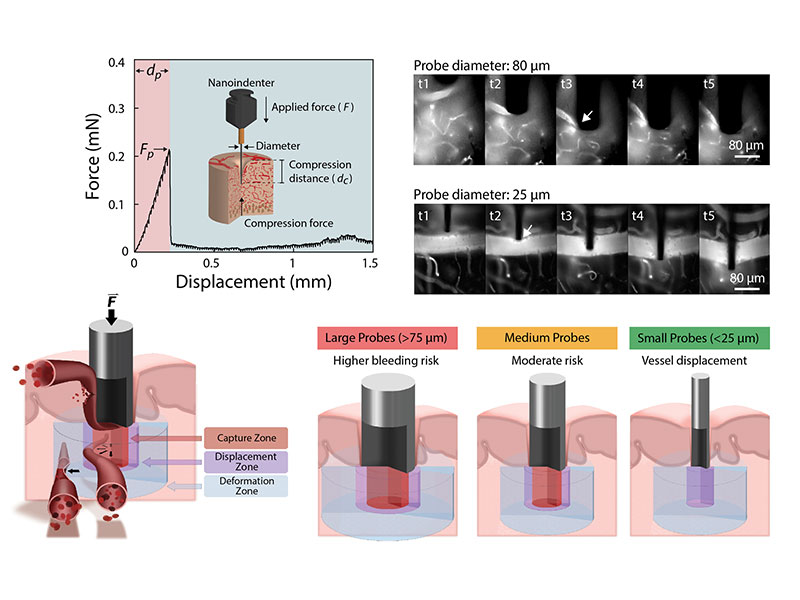Ultrasensitive measurement of brain penetration mechanics and blood vessel rupture with microscale probes