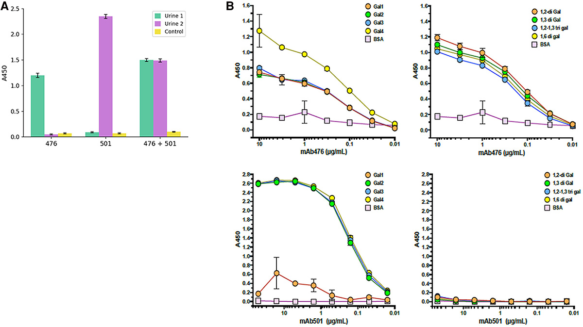 Detection of Galactofuranose-Containing Antigens Associated With Aspergillus Extracellular Vesicles in Urine: The Biological Basis of a New Diagnostic for Aspergillosis