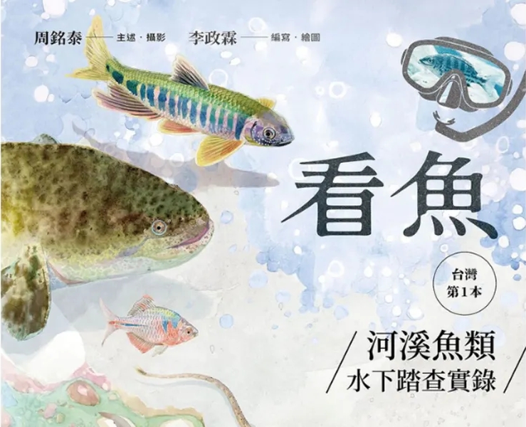 《看魚》：一條魚如何從「國寶」變成「強勢入侵種」？