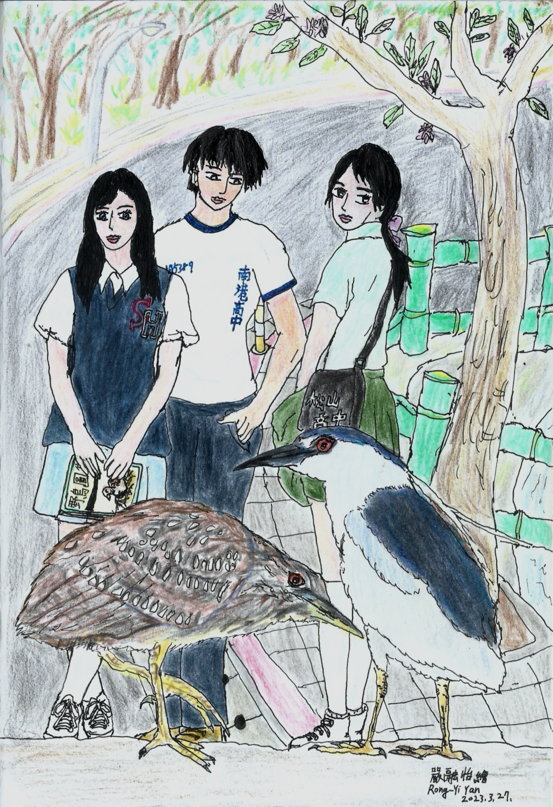 歐美所圖書館附近的夜鷺 – 生命科學圖書館推廣服務誌