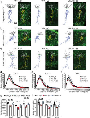 丘淑鈴 CHIU, SHU-LING