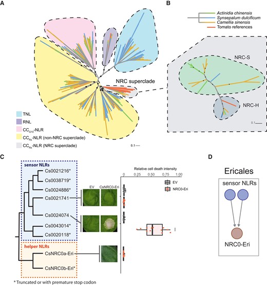 吳志航 WU, CHIH-HANG