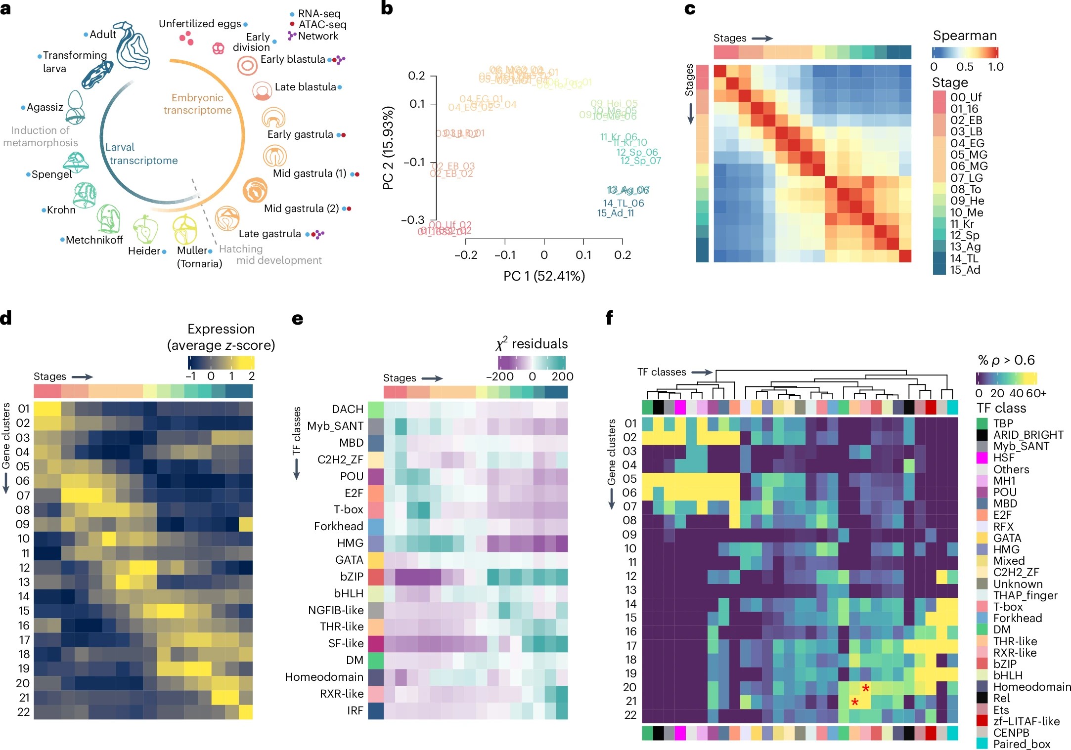 蘇怡璇 SU, YI-HSIEN