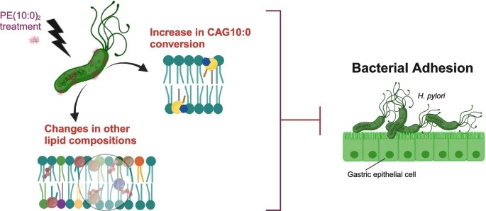 林俊宏 LIN, CHUN-HUNG