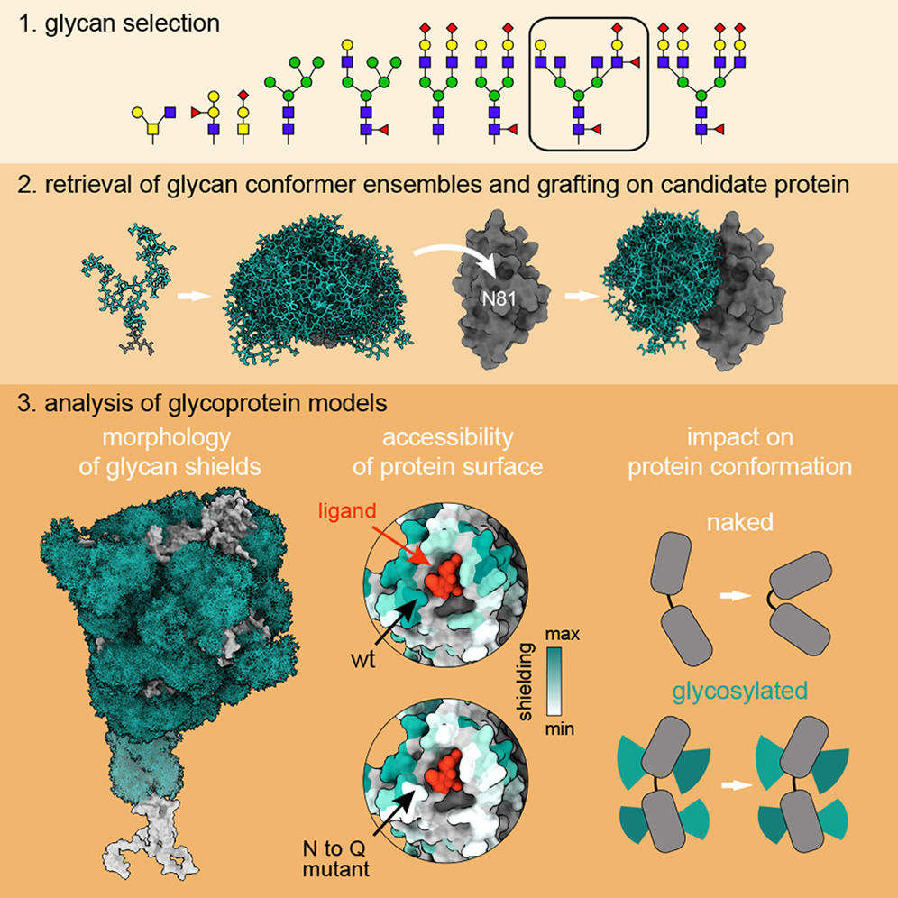 徐尚德 HSU, SHANG-TE