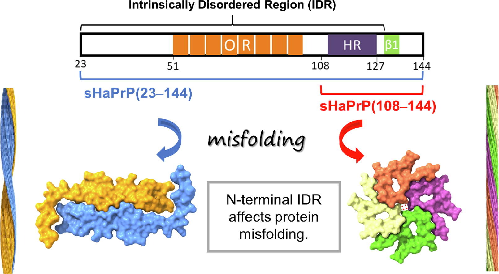 陳佩燁 CHEN, RITA PEI-YEH