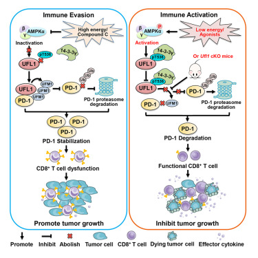 李育儒 LEE, YU-RU