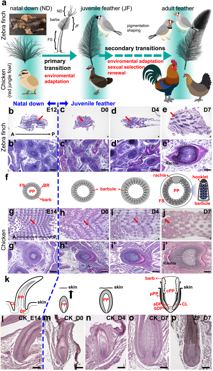 李文雄 LI, WEN-HSIUNG