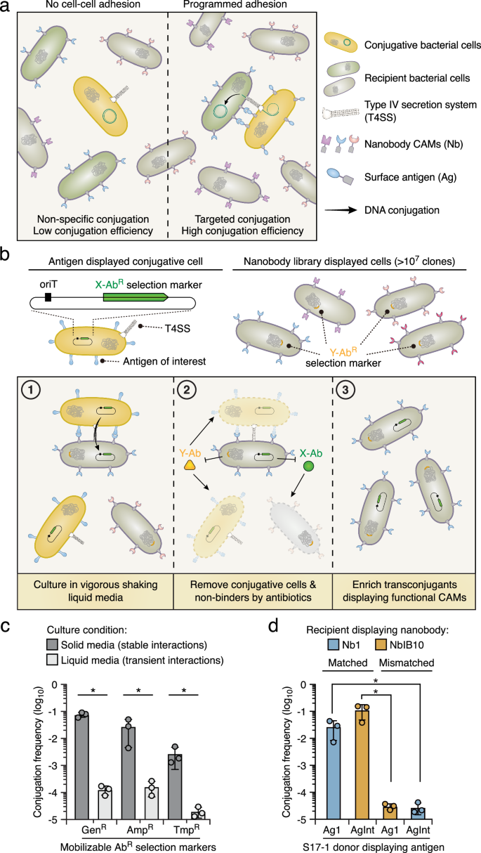 陳詩允 TING, SEE-YEUN