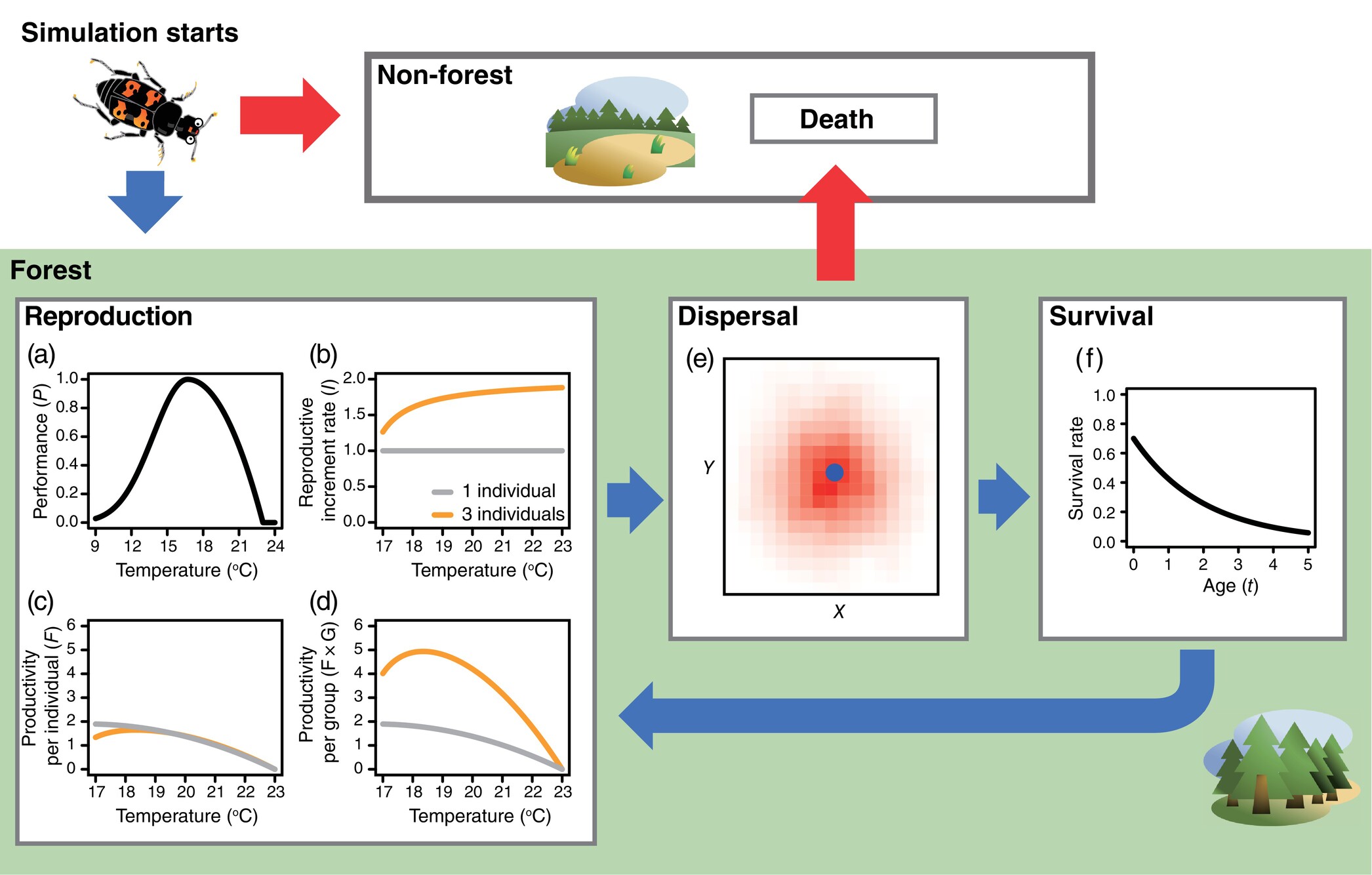 沈聖峰 SHEN, SHENG-FENG