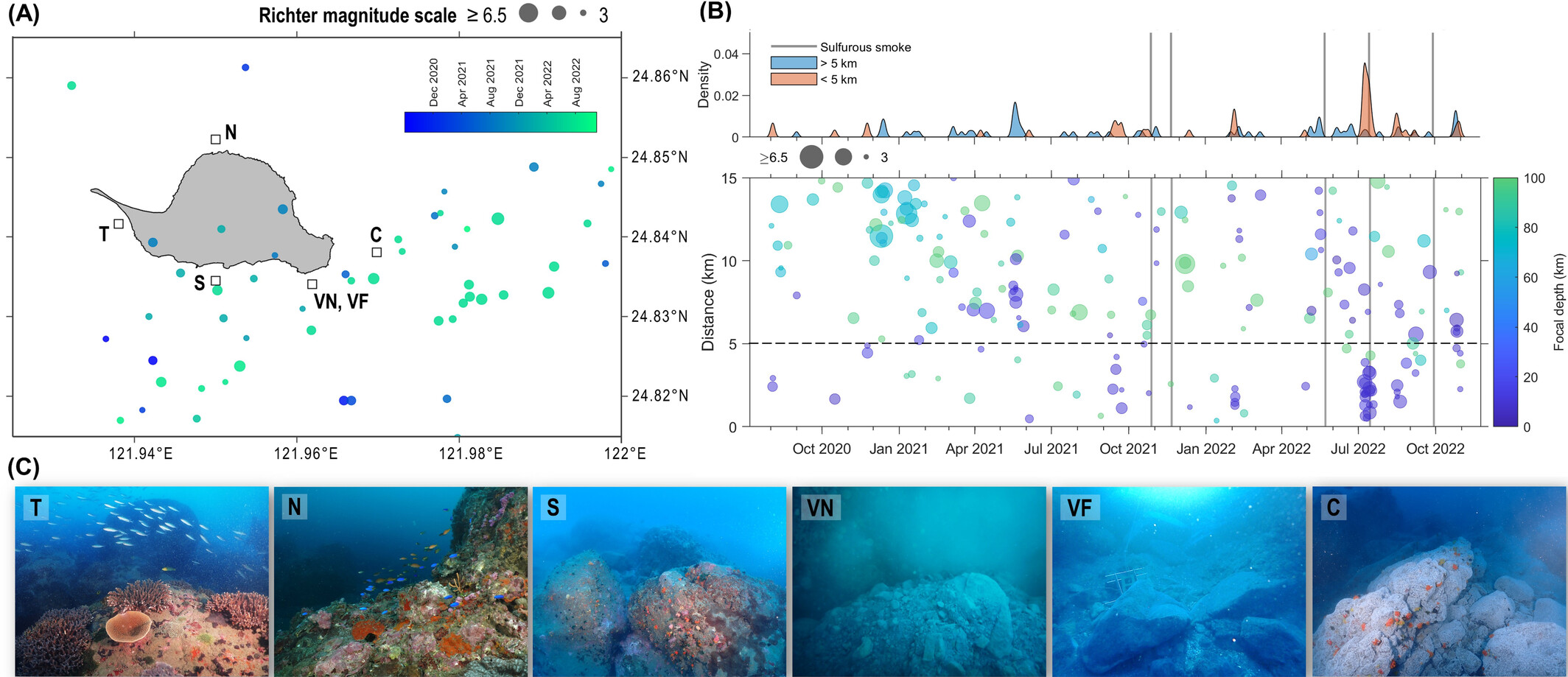 林子皓 LIN, TZU-HAO