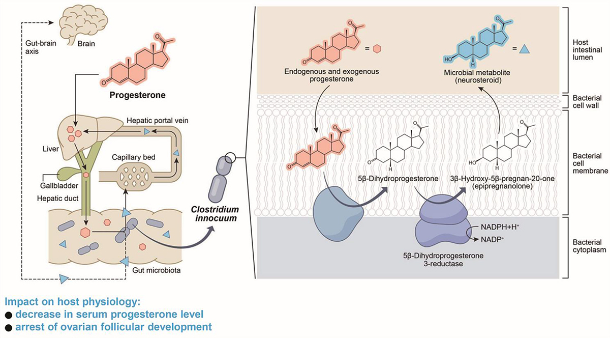 江殷儒 CHIANG, YIN-RU