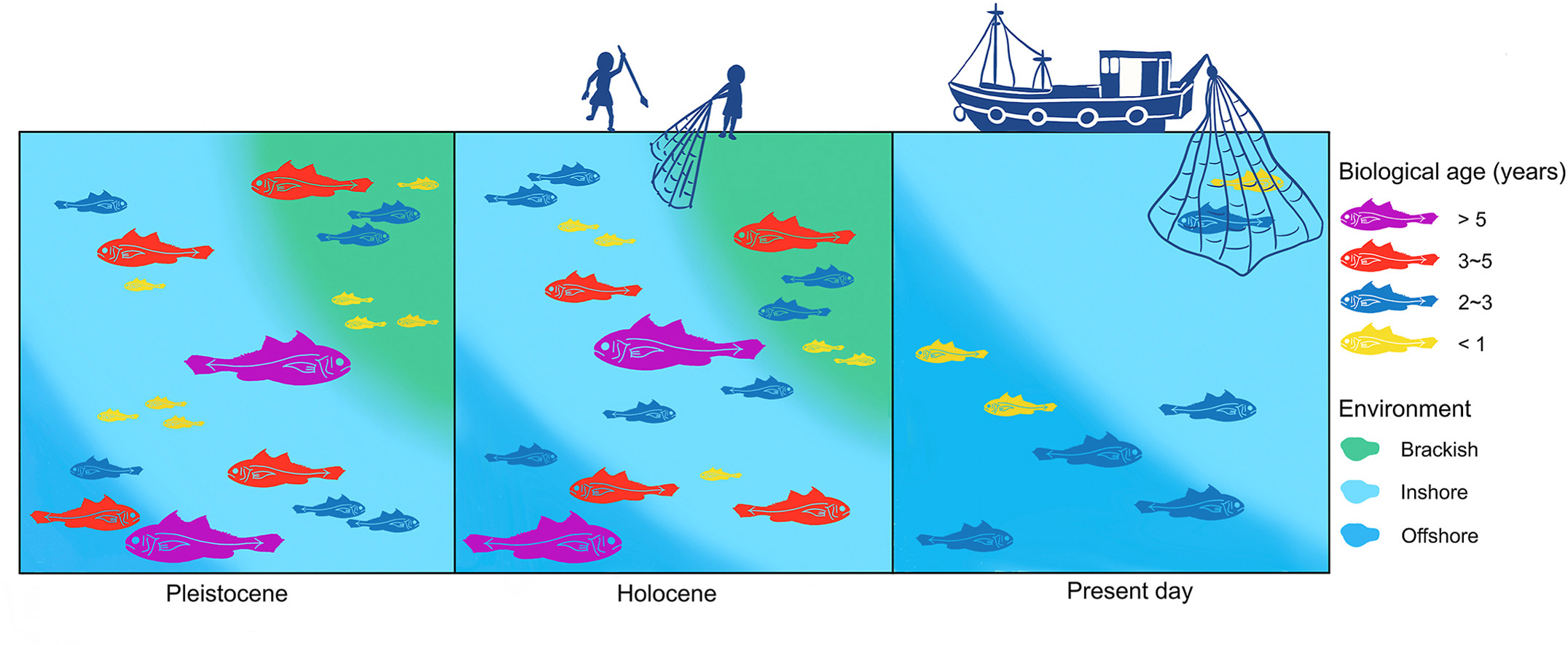 林千翔 LIN, CHIEN-HSIANG