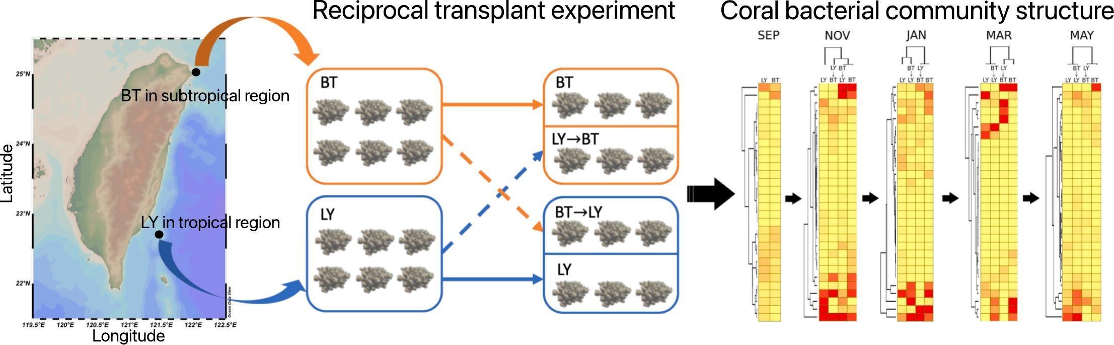 湯森林 TANG, SEN-LIN