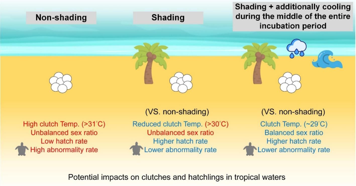 鄭明修 JENG, MING-SHIOU