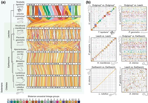 駱乙君 LUO, YI-JYUN